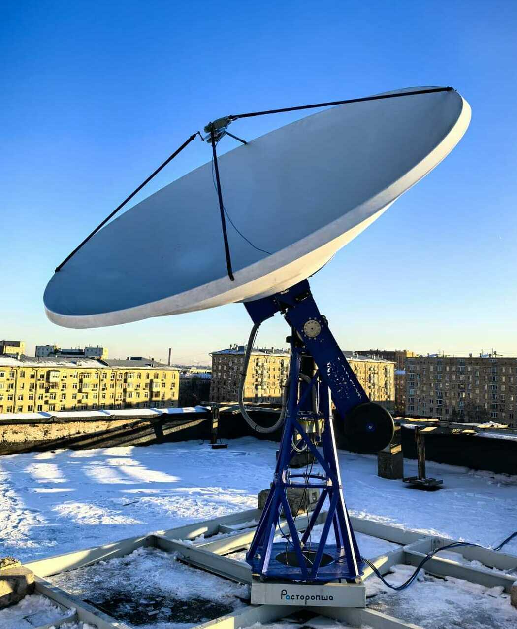 <span style="font-weight: bold;">Silybum</span>