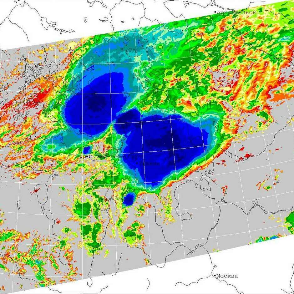 <span style="font-weight: bold;">Software</span>